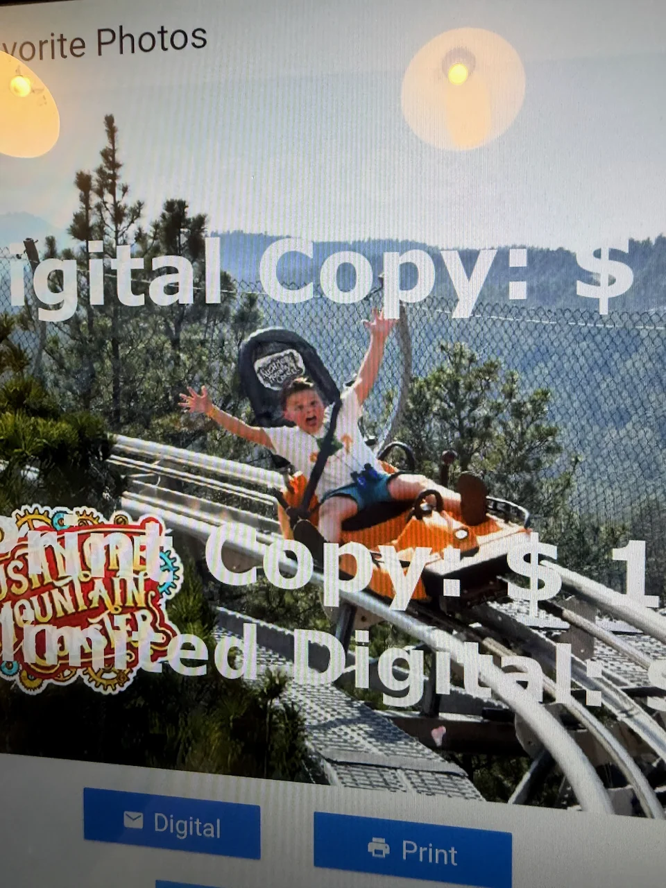 Dylan flying down the alpine coaster