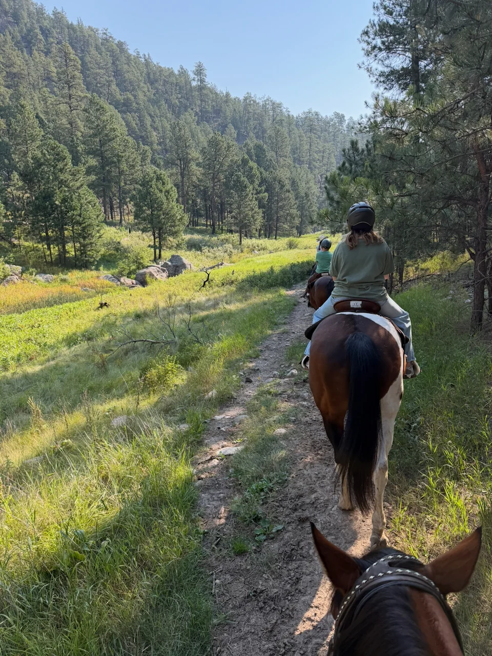 Horseback riding through the Black Hills