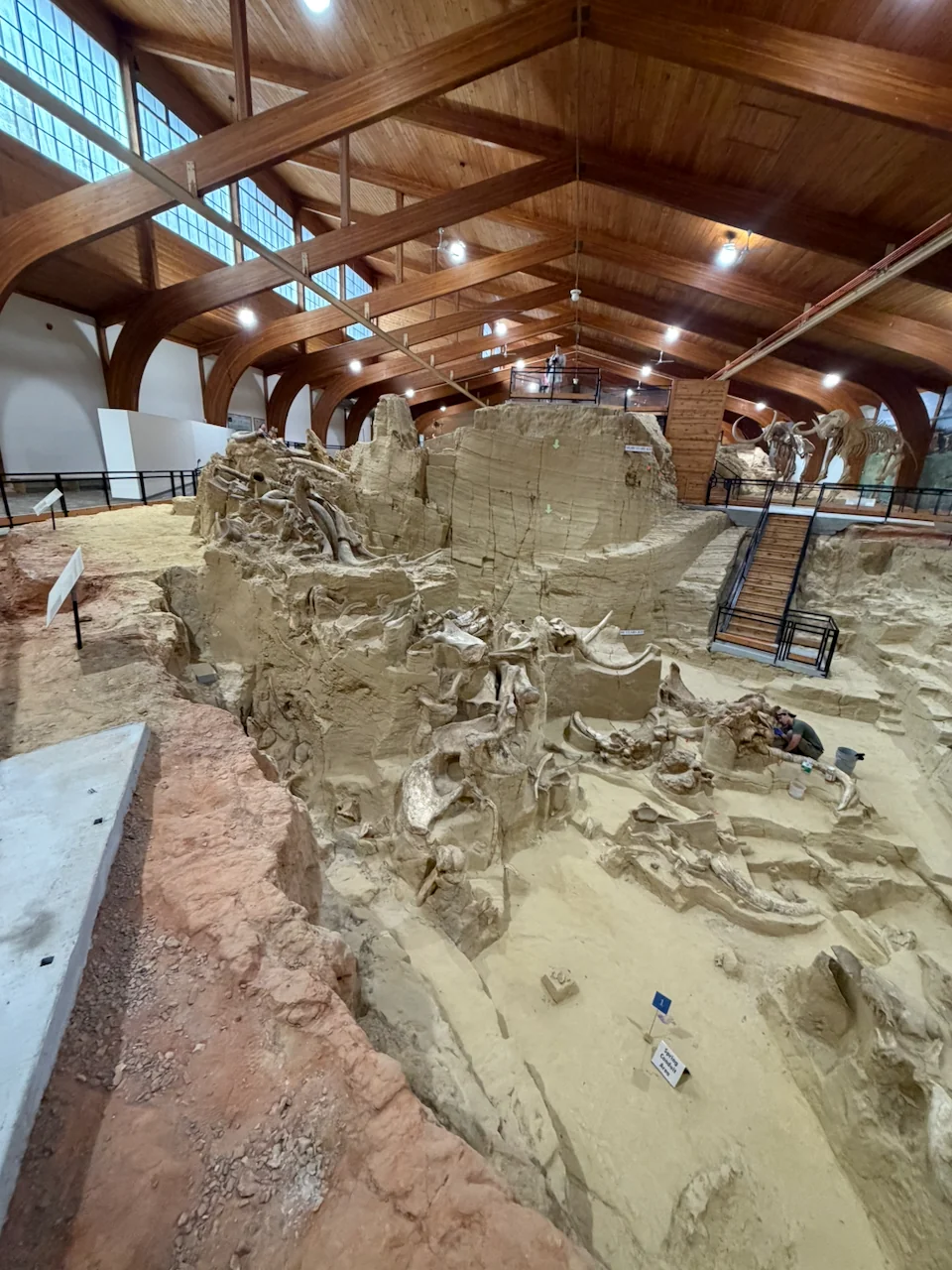 The active excavation inside the Mammoth Site
