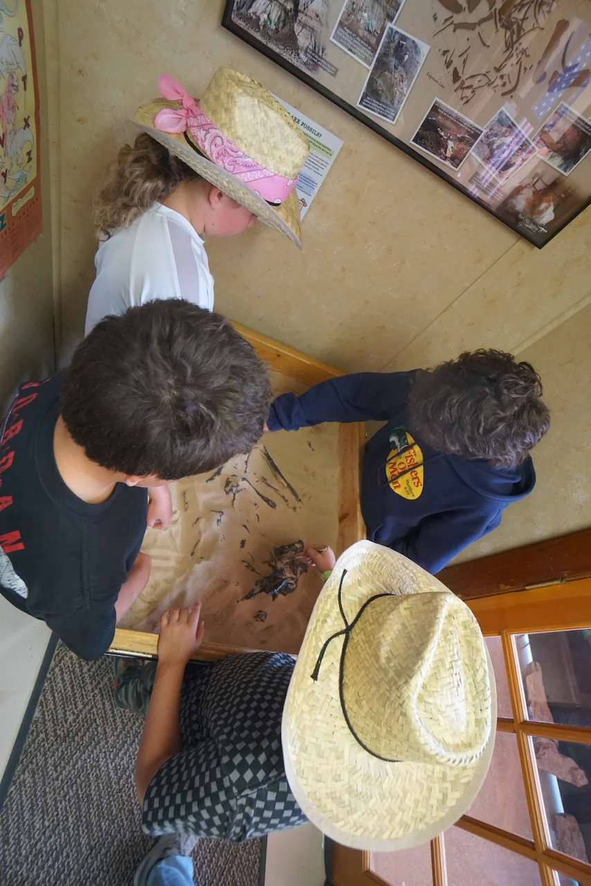 The kids excavating bones at the museum